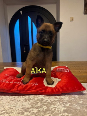 AÏKA